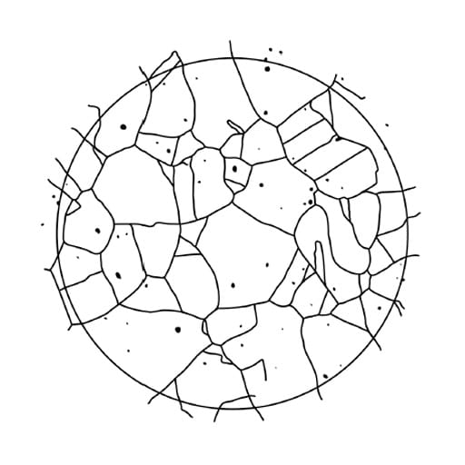 Esempio di grani geminati (Flat Etch), tratto dalla Tavola II. Numero di grano 3 a 100×.